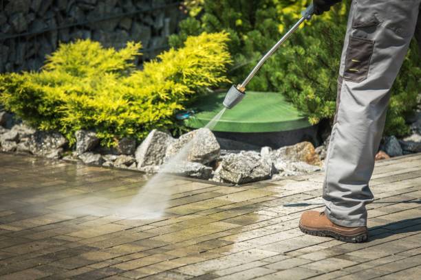 Best Pre-Holiday Cleaning  in Poth, TX