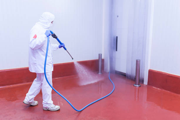Pre-Holiday Cleaning in Poth, TX