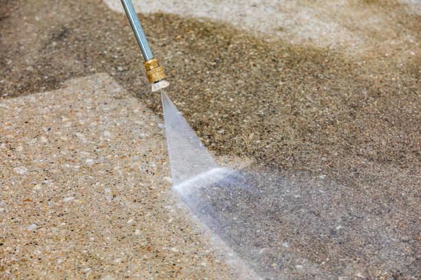 Best Animal Enclosure Cleaning  in Poth, TX